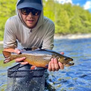 Meet your Posher, Jack